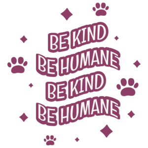 Humánus oktatás - Be kind be humane - bordó