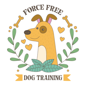 Force free dog training - kényszermentes kutyaoktatás