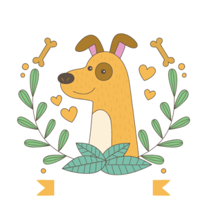 Force free dog training - kényszermentes kutyaoktatás