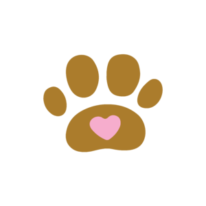 Force free dog training - kényszermentes kutyaoktatás