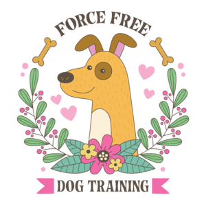 Force free dog training - kényszermentes kutyaoktatás