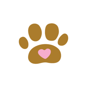 Force free dog training - kényszermentes kutyaoktatás